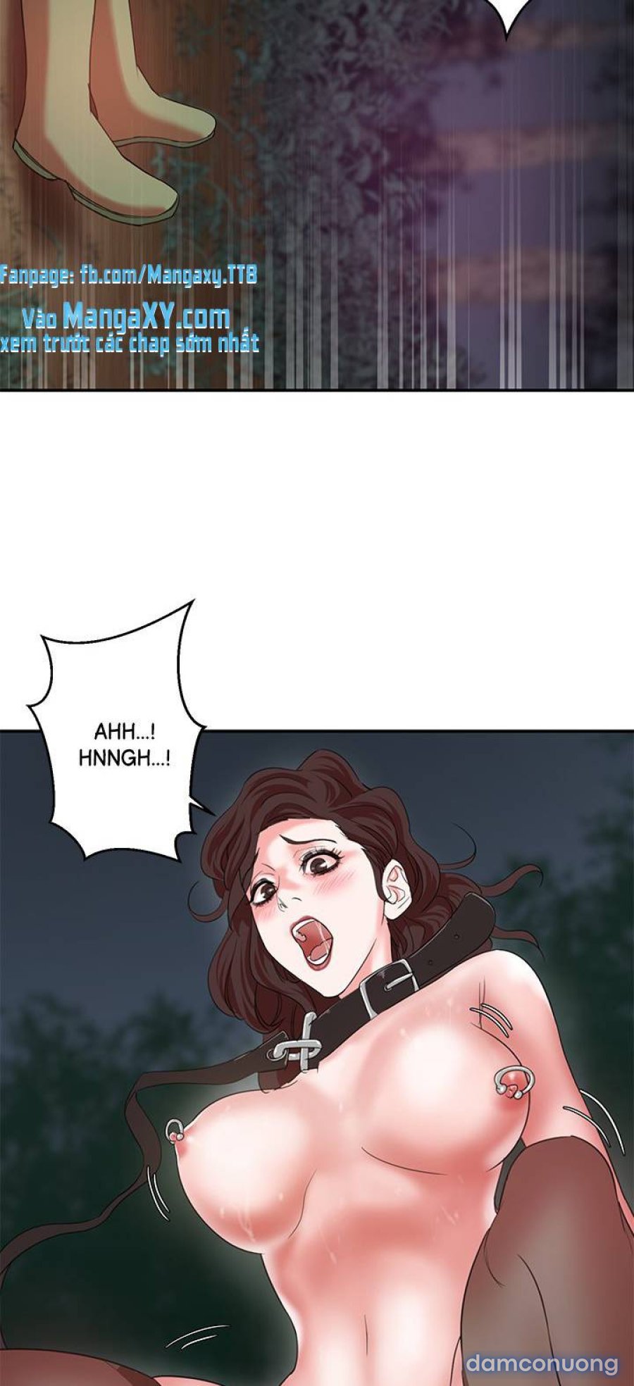 Lợn Người 