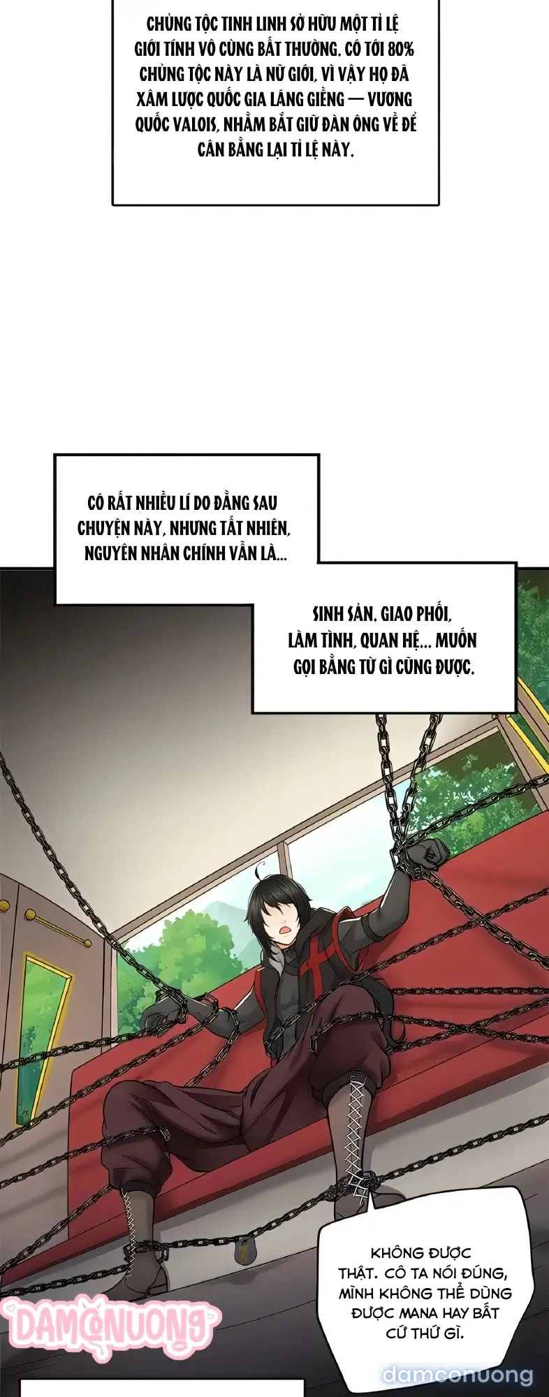 Đồ Chơi Của Các Nữ Linh Tinh 