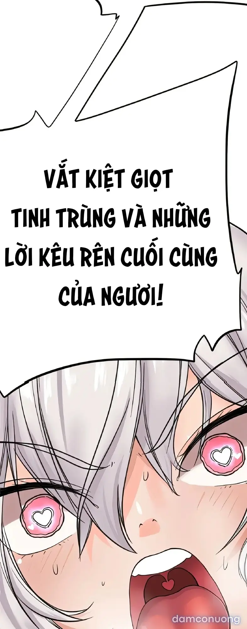 Đồ Chơi Của Các Nữ Linh Tinh 
