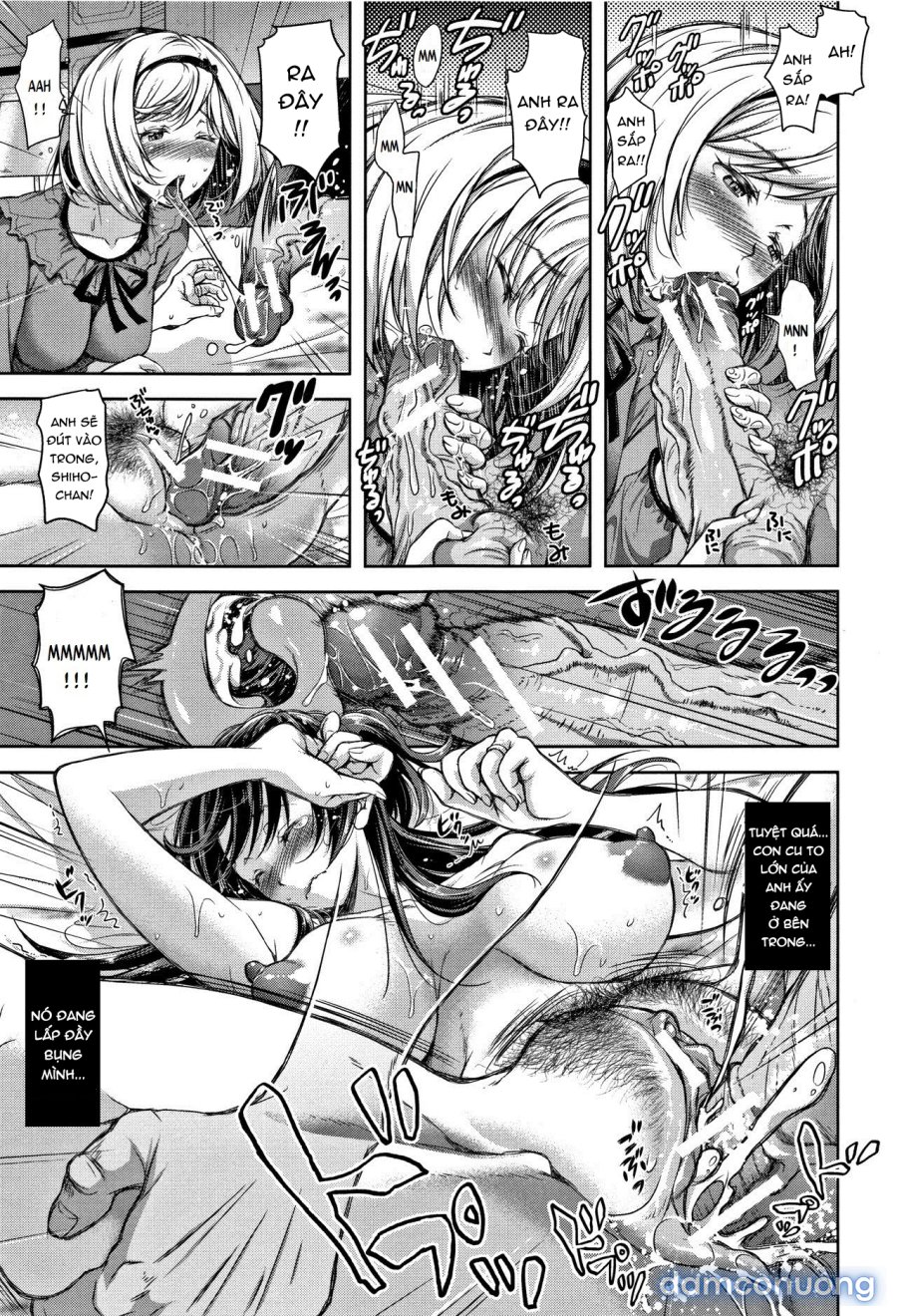 Tane no Nai Hachi 