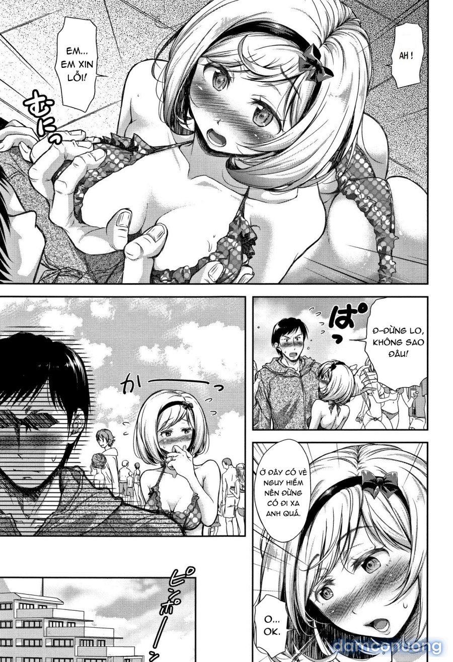 Tane no Nai Hachi 