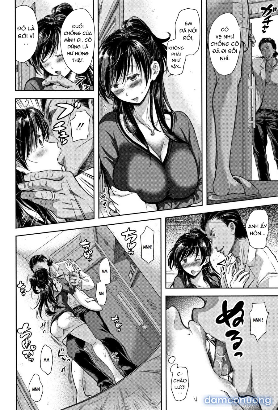 Tane no Nai Hachi 