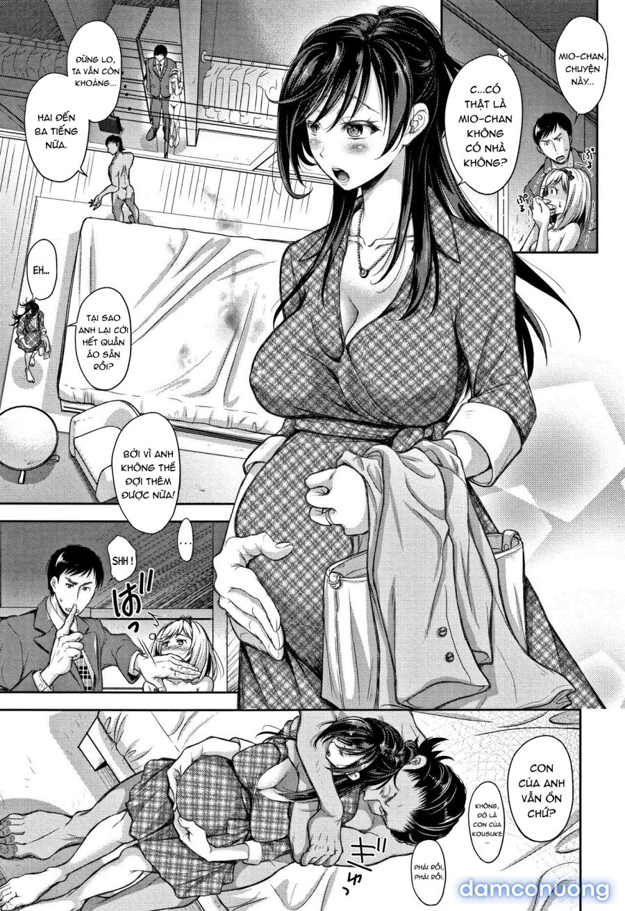 Tane no Nai Hachi 