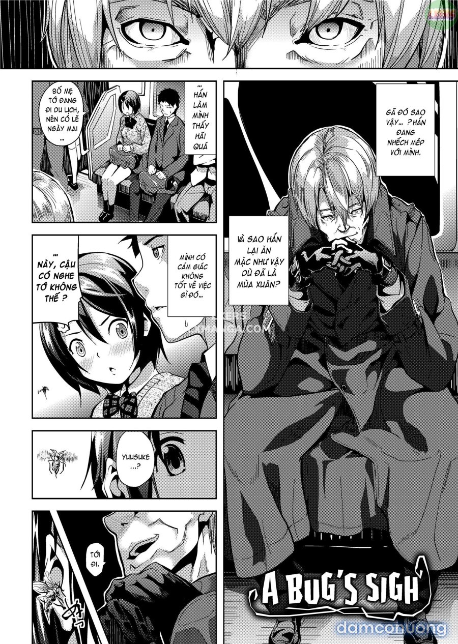 Deep Stalker 