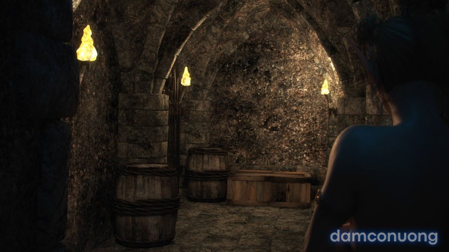 Elven Desires 