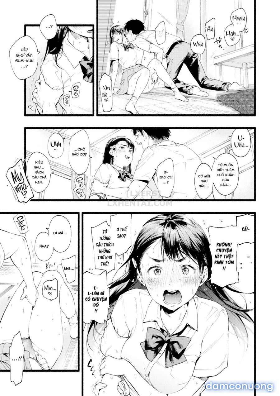 Iro-toridori 