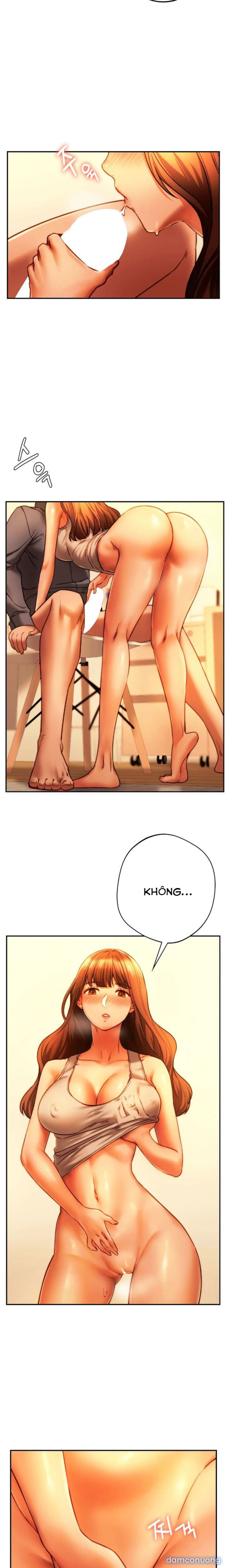 Đồng Học 