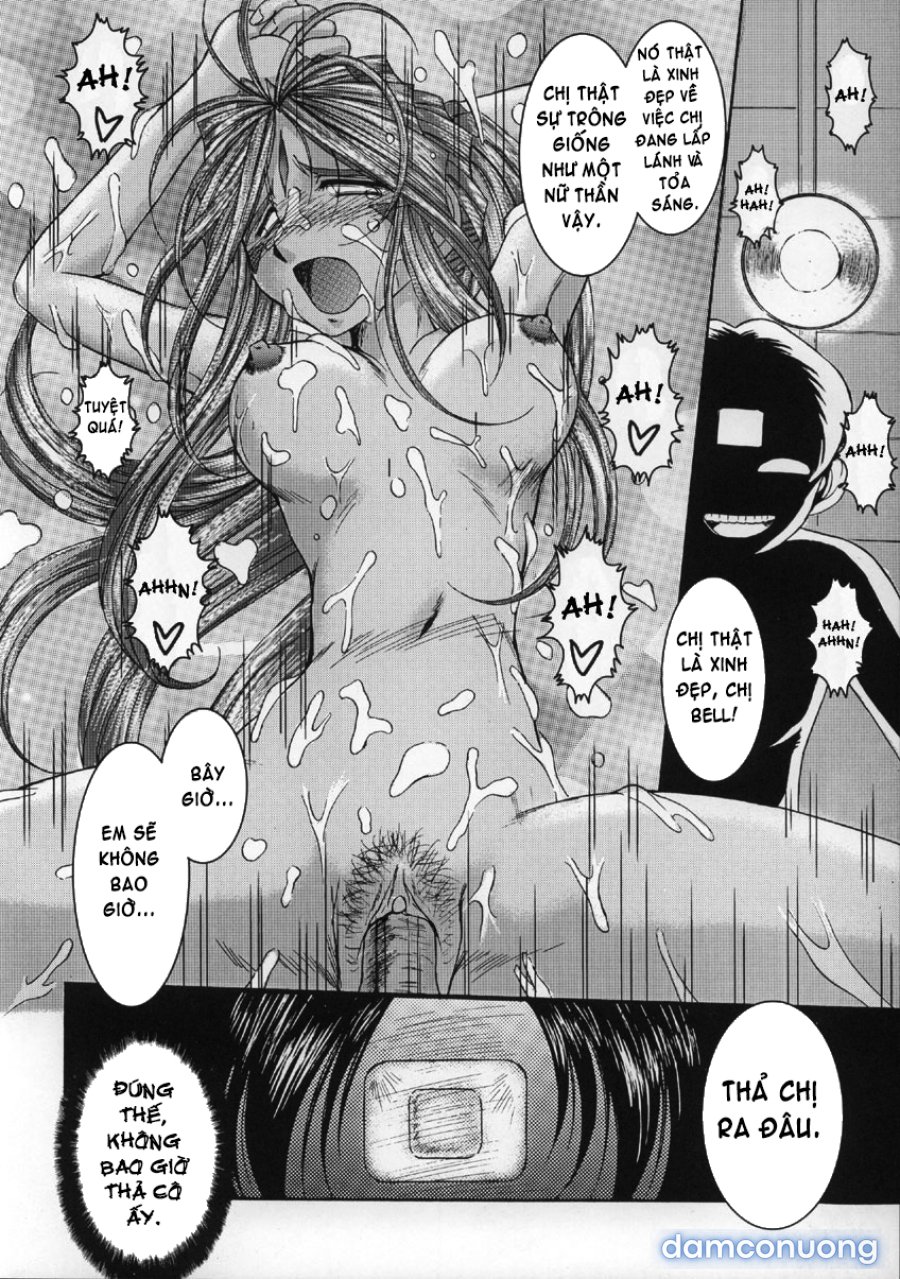 Midgard 