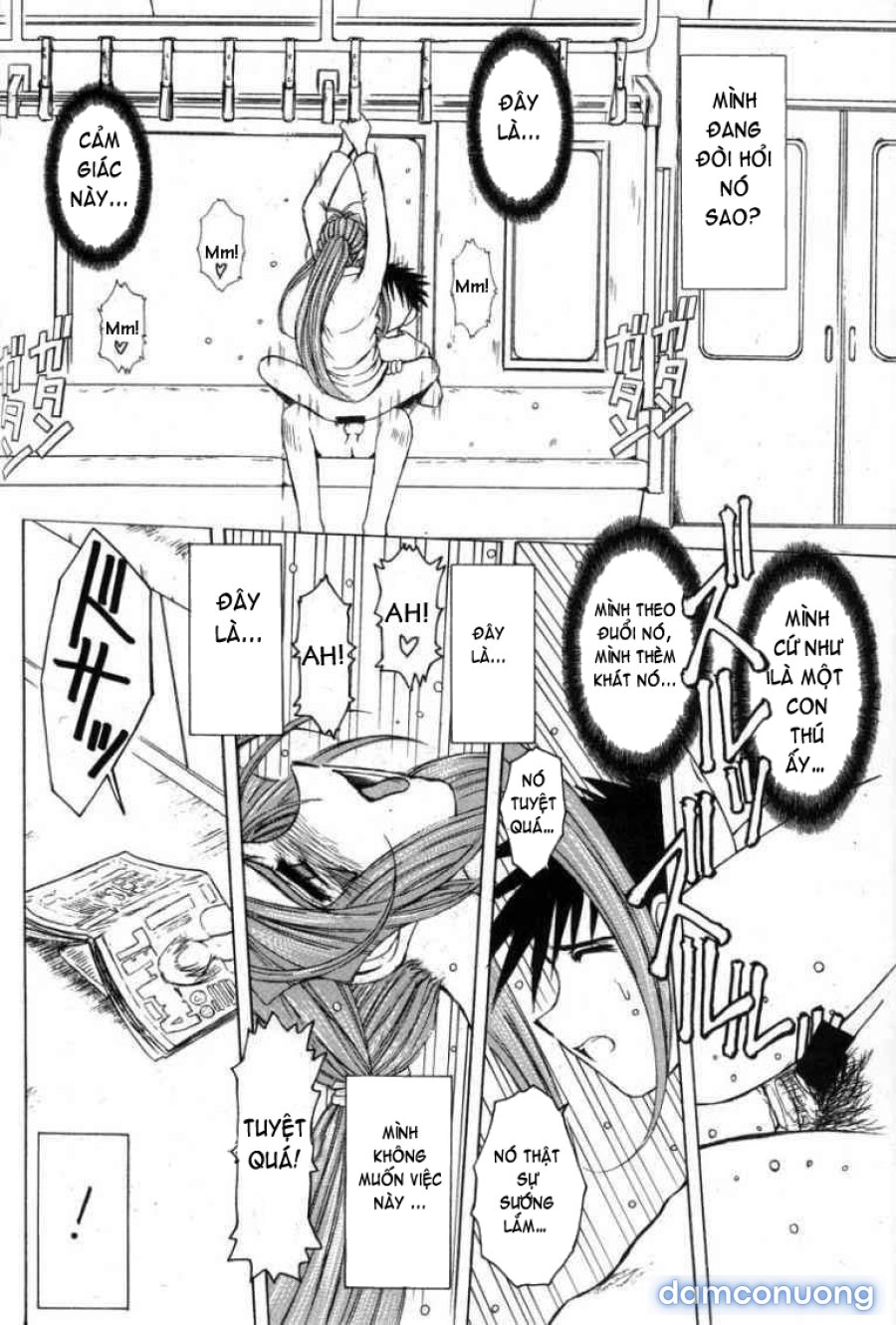 Midgard 