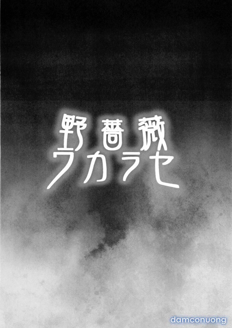 Nobara Correction 