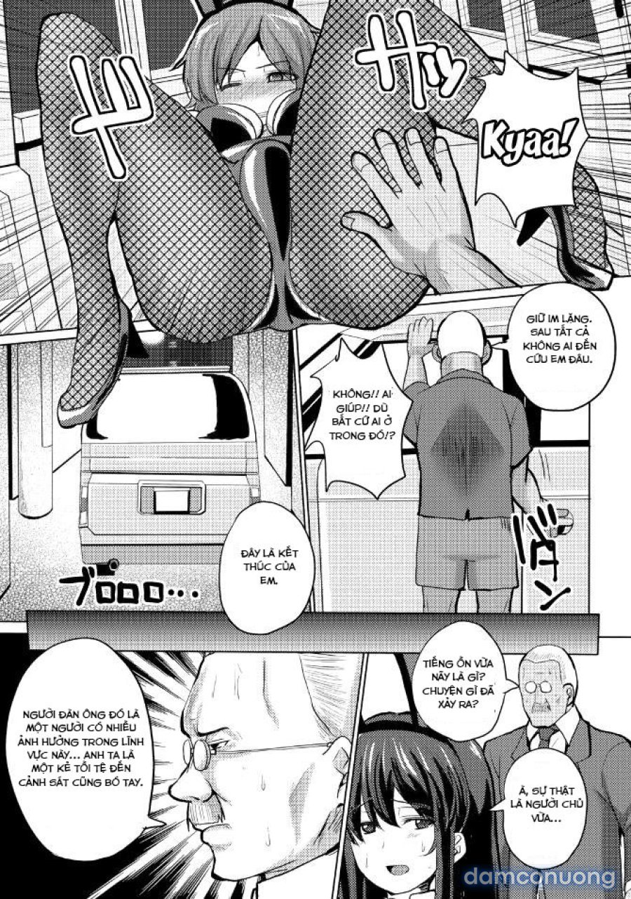 SUCK SEX STORIES 