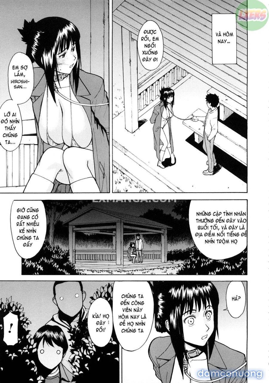 Hazukashime 