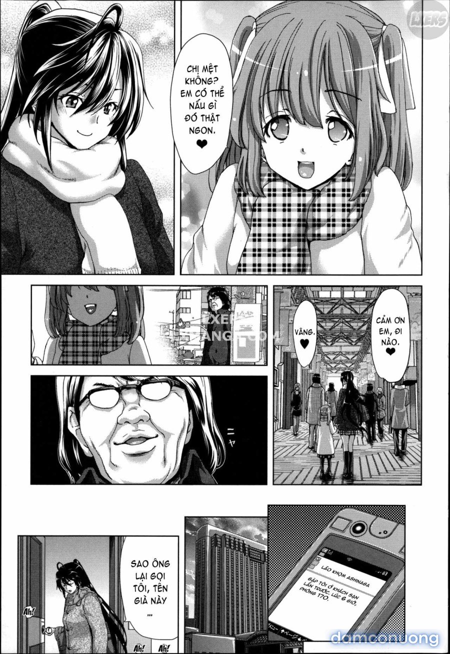 Mesuochi Z ~Kyousei Ninkatsu Haigou Zukan 