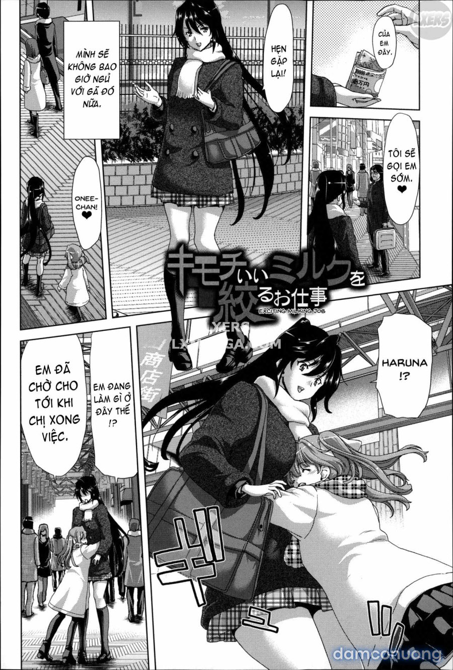 Mesuochi Z ~Kyousei Ninkatsu Haigou Zukan 
