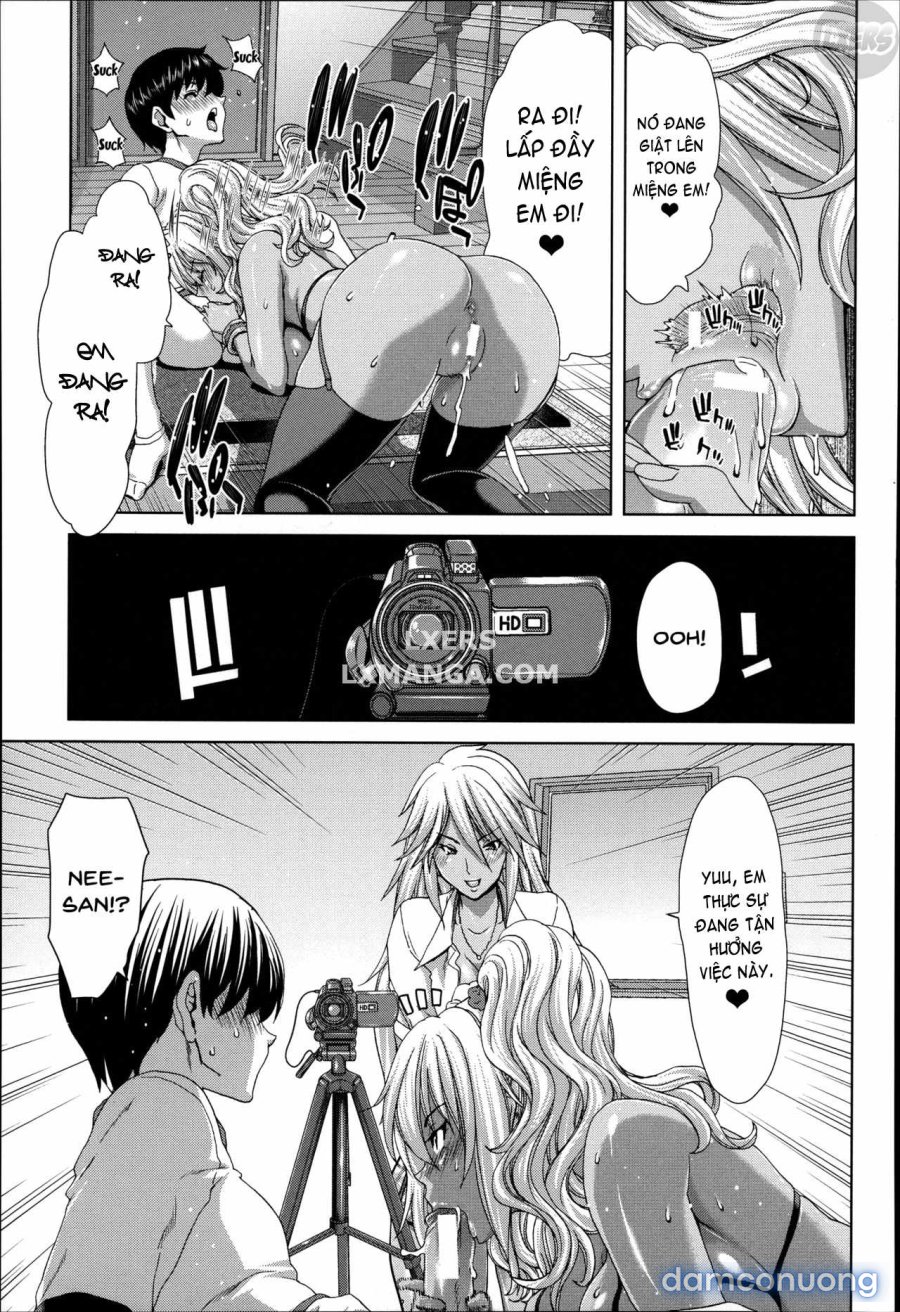 Mesuochi Z ~Kyousei Ninkatsu Haigou Zukan 