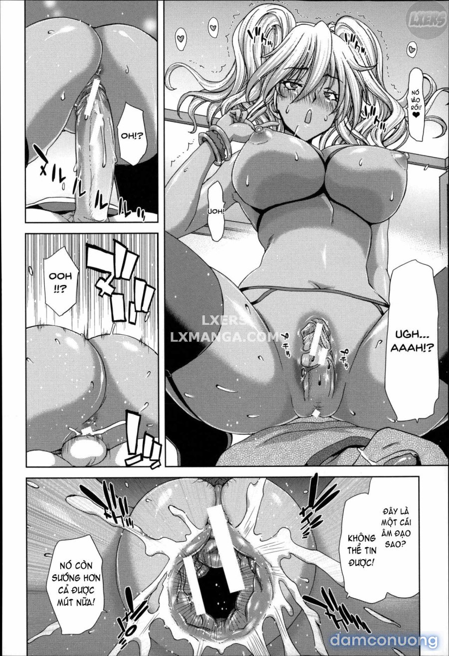 Mesuochi Z ~Kyousei Ninkatsu Haigou Zukan 