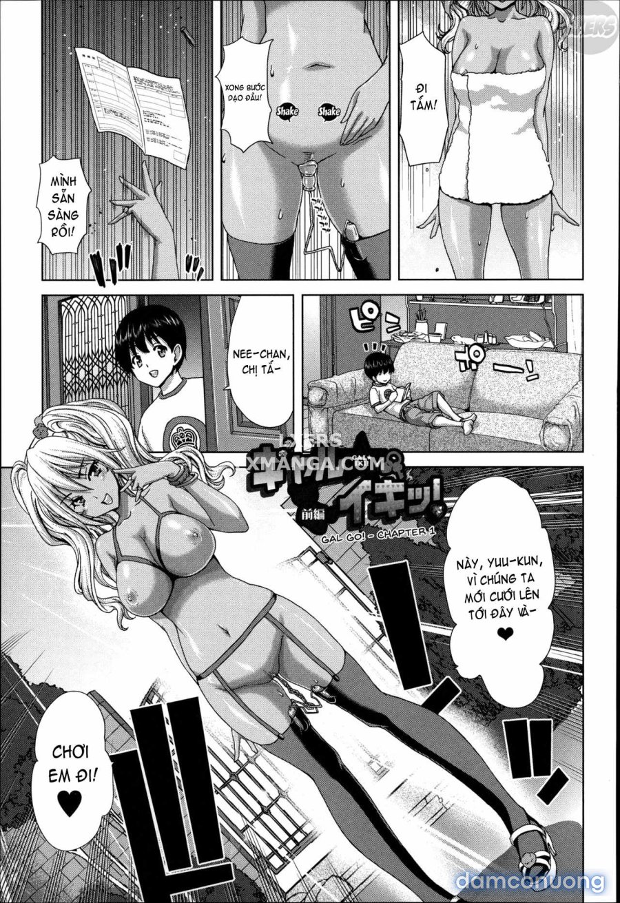 Mesuochi Z ~Kyousei Ninkatsu Haigou Zukan 