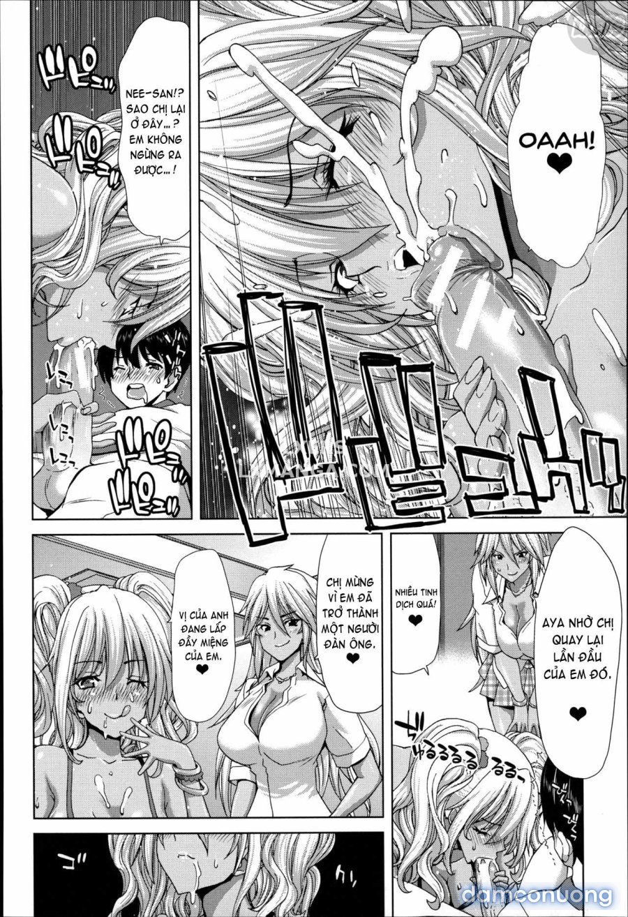 Mesuochi Z ~Kyousei Ninkatsu Haigou Zukan 