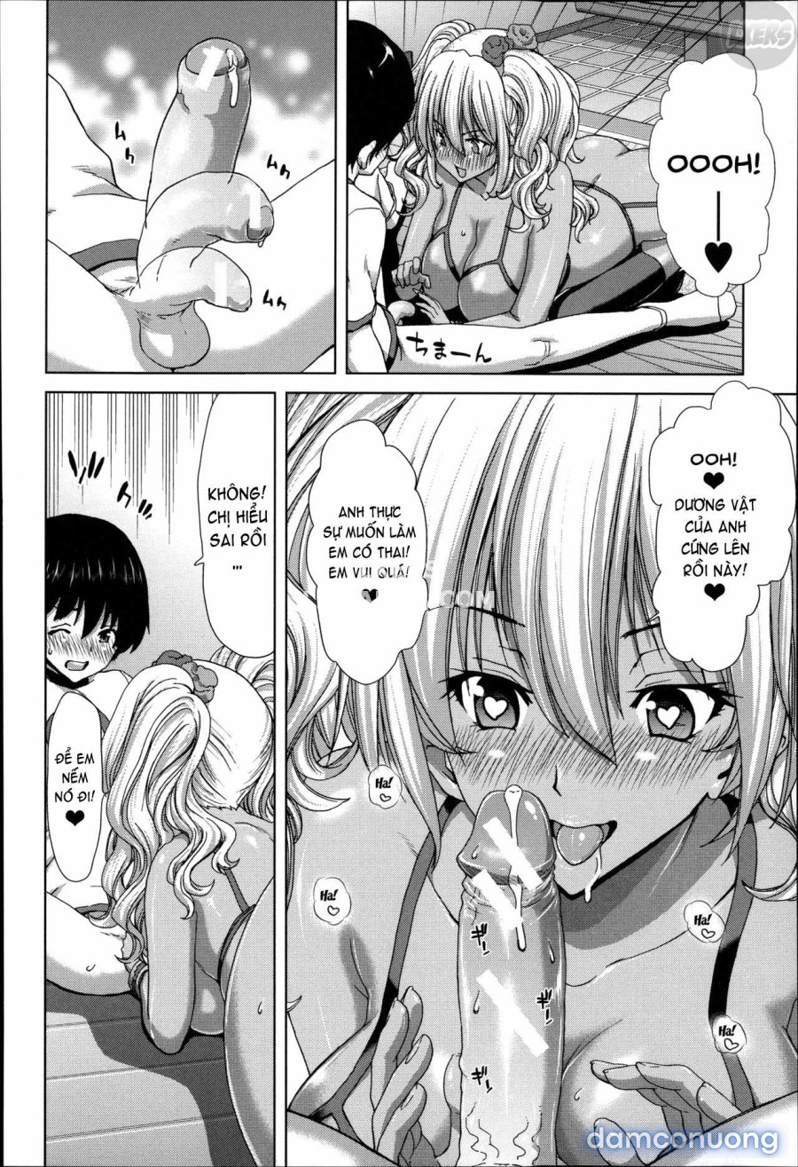 Mesuochi Z ~Kyousei Ninkatsu Haigou Zukan 