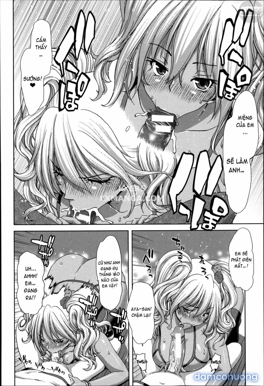 Mesuochi Z ~Kyousei Ninkatsu Haigou Zukan 