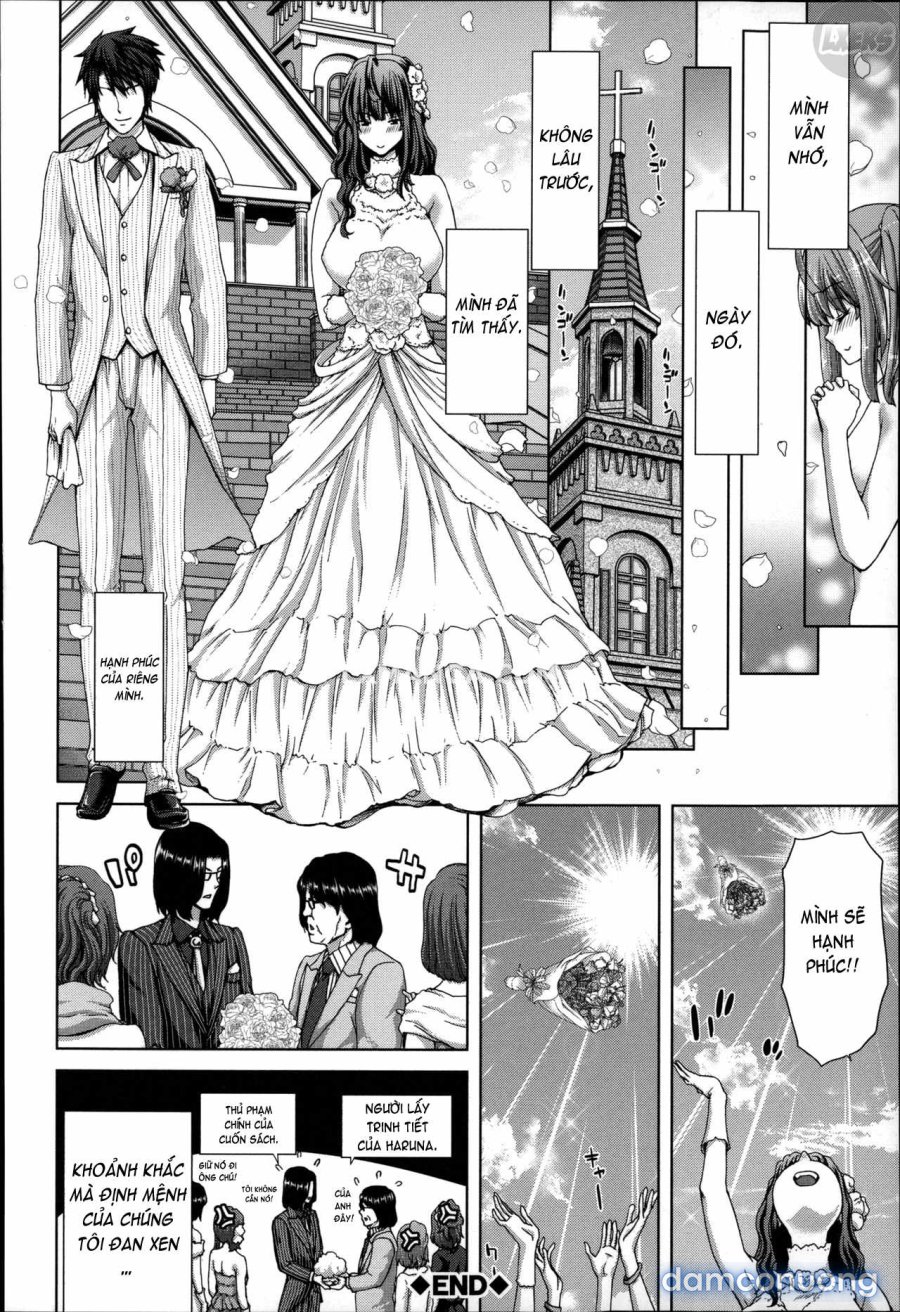 Mesuochi Z ~Kyousei Ninkatsu Haigou Zukan 