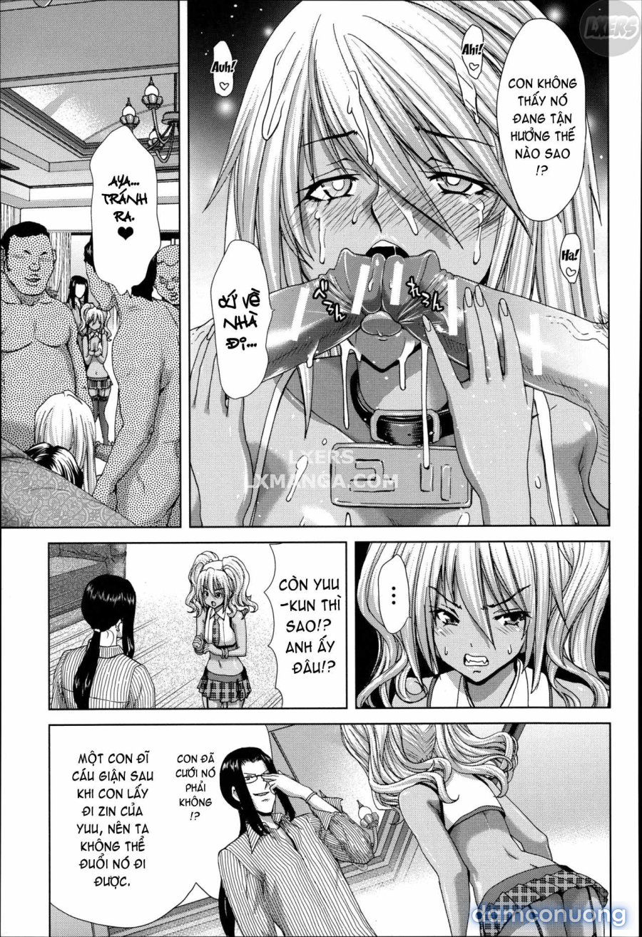 Mesuochi Z ~Kyousei Ninkatsu Haigou Zukan 