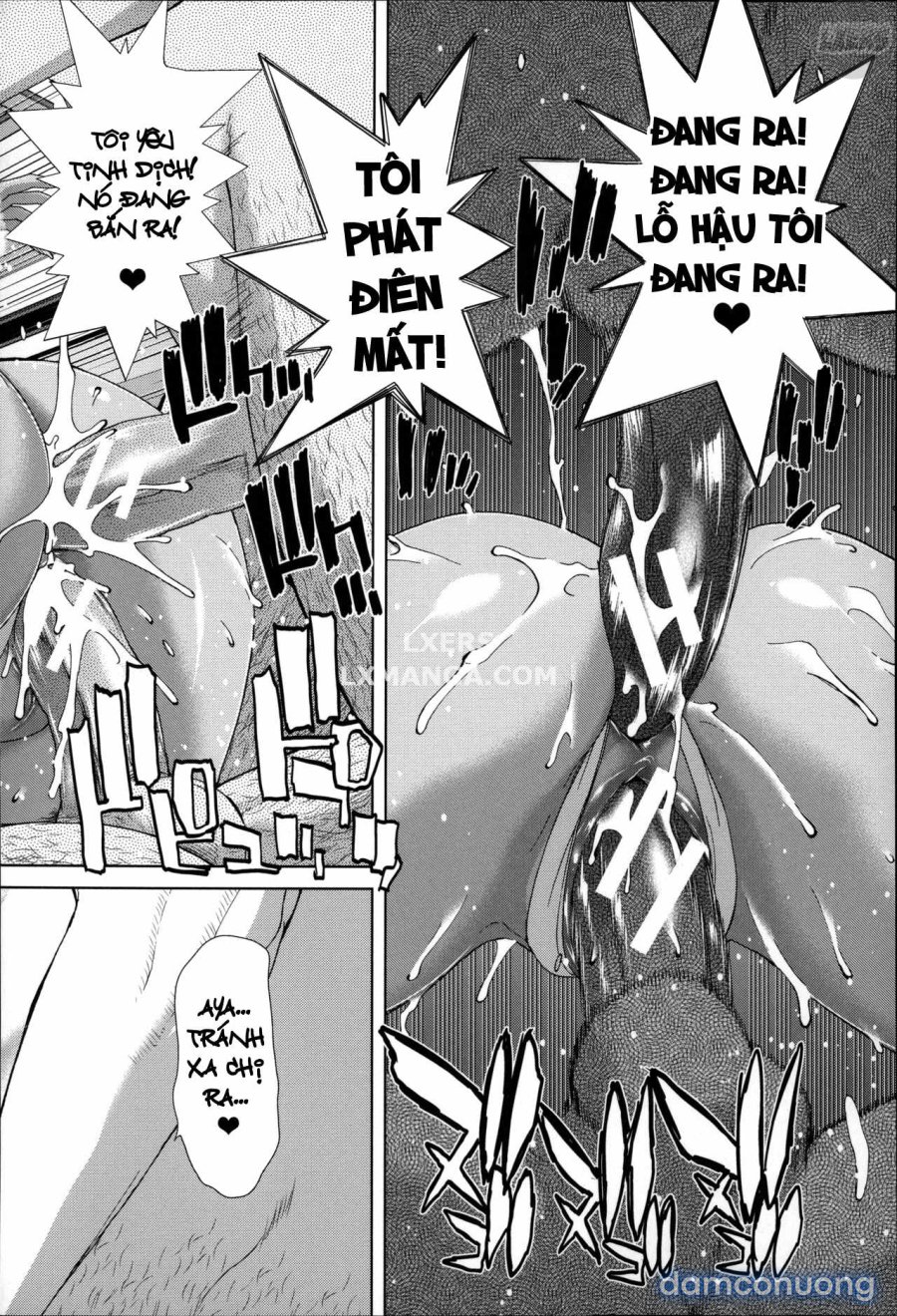 Mesuochi Z ~Kyousei Ninkatsu Haigou Zukan 