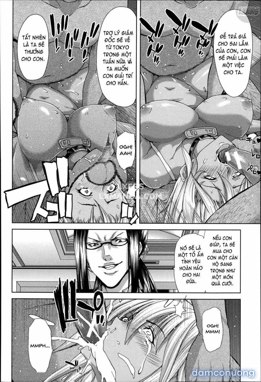 Mesuochi Z ~Kyousei Ninkatsu Haigou Zukan 