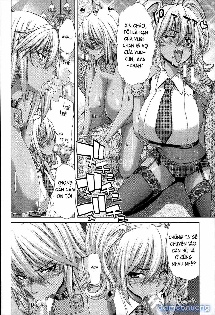 Mesuochi Z ~Kyousei Ninkatsu Haigou Zukan 