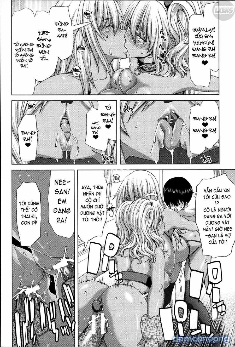Mesuochi Z ~Kyousei Ninkatsu Haigou Zukan 