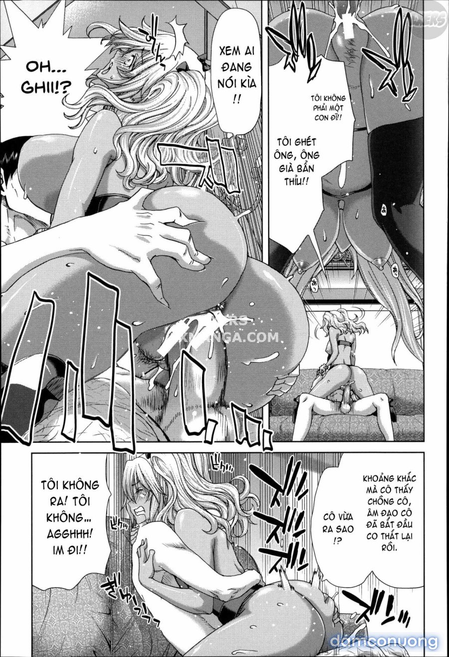 Mesuochi Z ~Kyousei Ninkatsu Haigou Zukan 