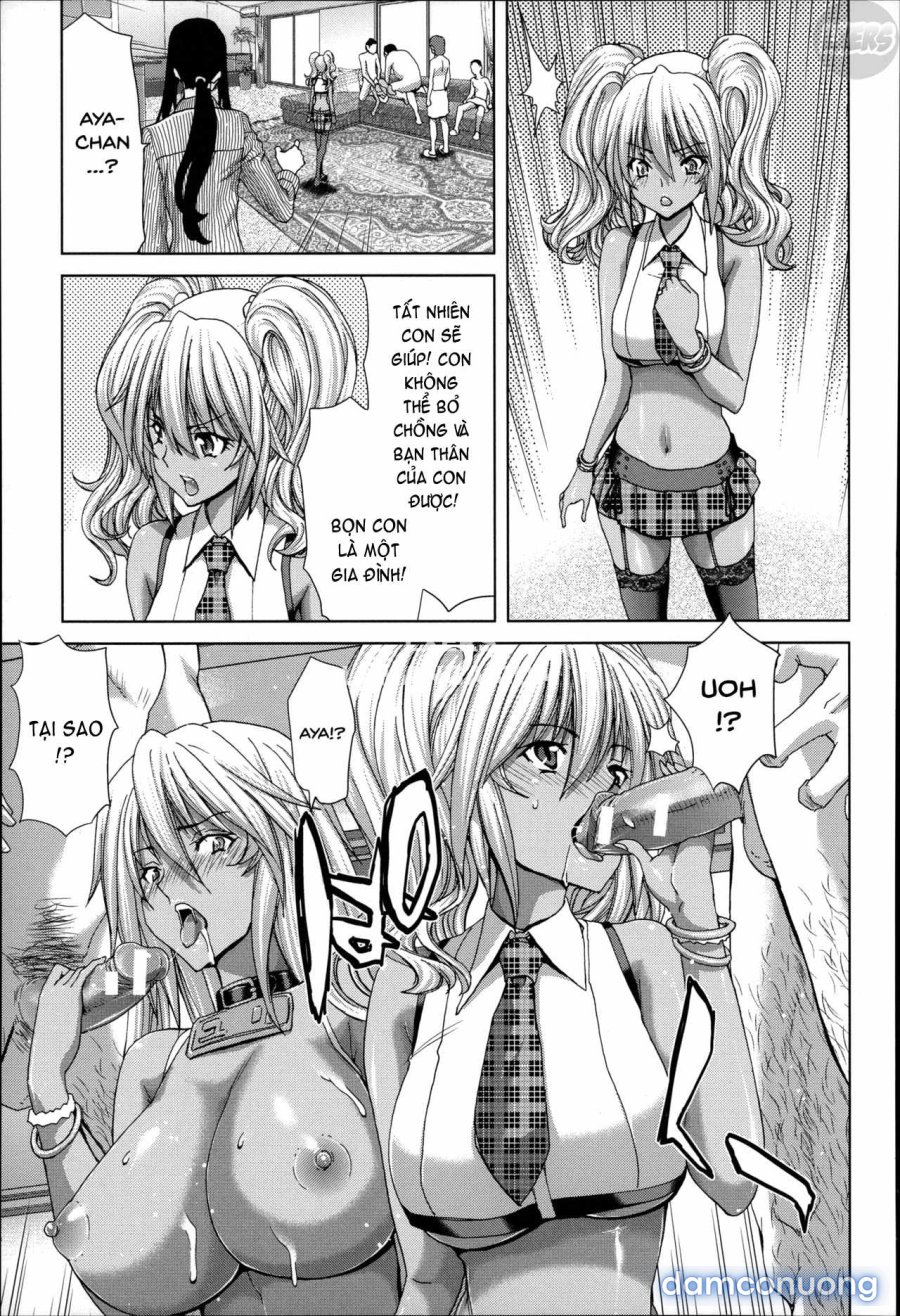 Mesuochi Z ~Kyousei Ninkatsu Haigou Zukan 