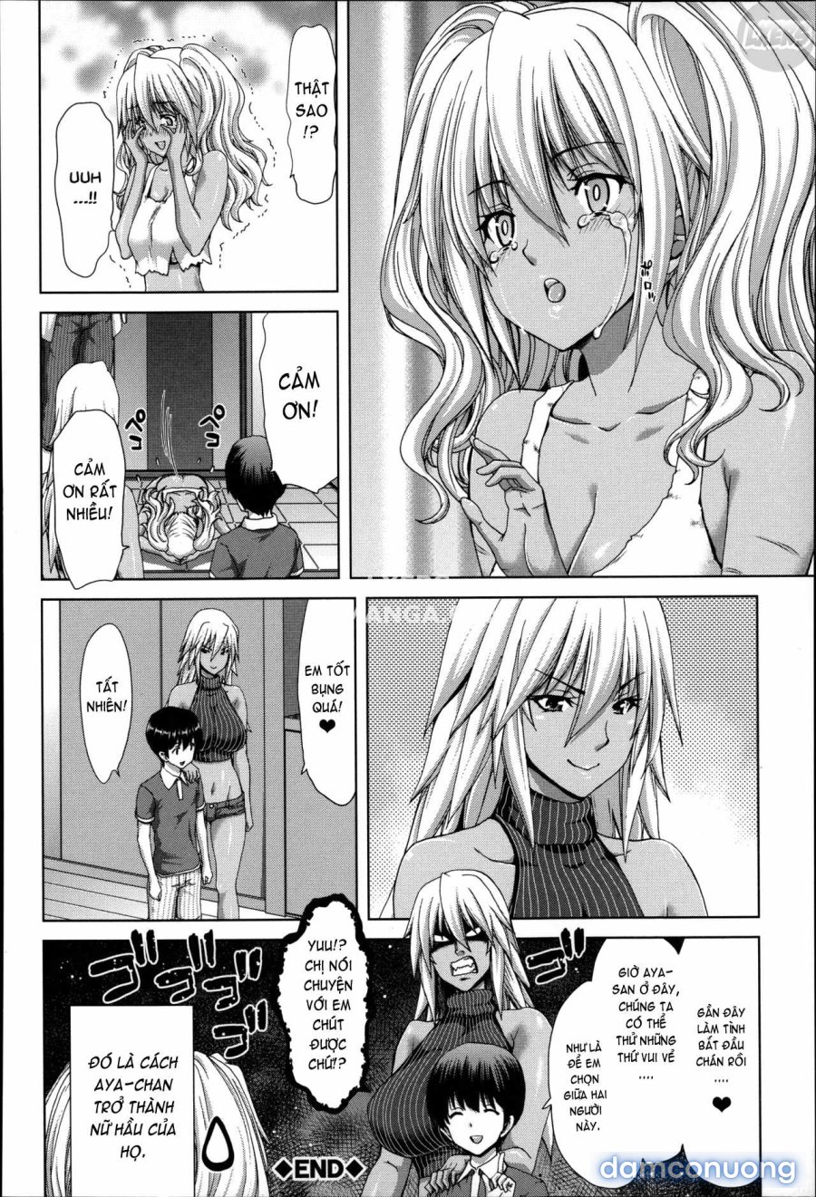 Mesuochi Z ~Kyousei Ninkatsu Haigou Zukan 