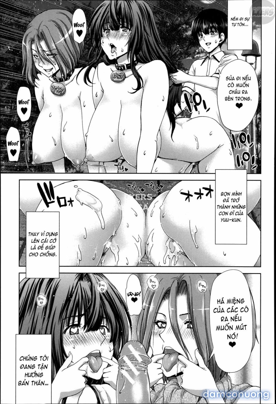 Mesuochi Z ~Kyousei Ninkatsu Haigou Zukan 