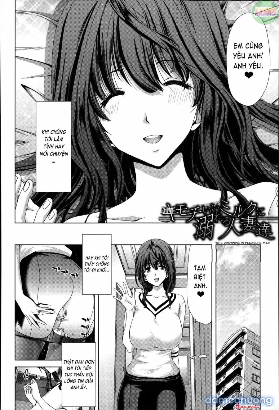 Mesuochi Z ~Kyousei Ninkatsu Haigou Zukan 