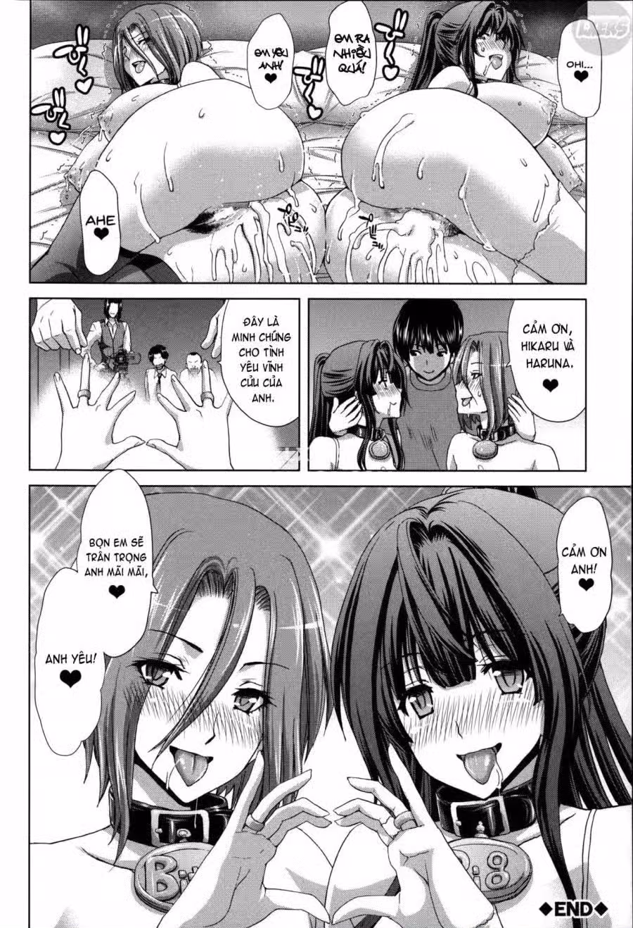 Mesuochi Z ~Kyousei Ninkatsu Haigou Zukan 