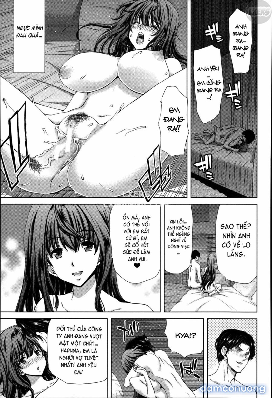 Mesuochi Z ~Kyousei Ninkatsu Haigou Zukan 
