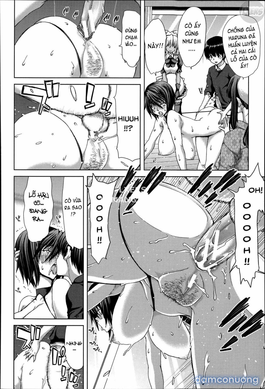 Mesuochi Z ~Kyousei Ninkatsu Haigou Zukan 