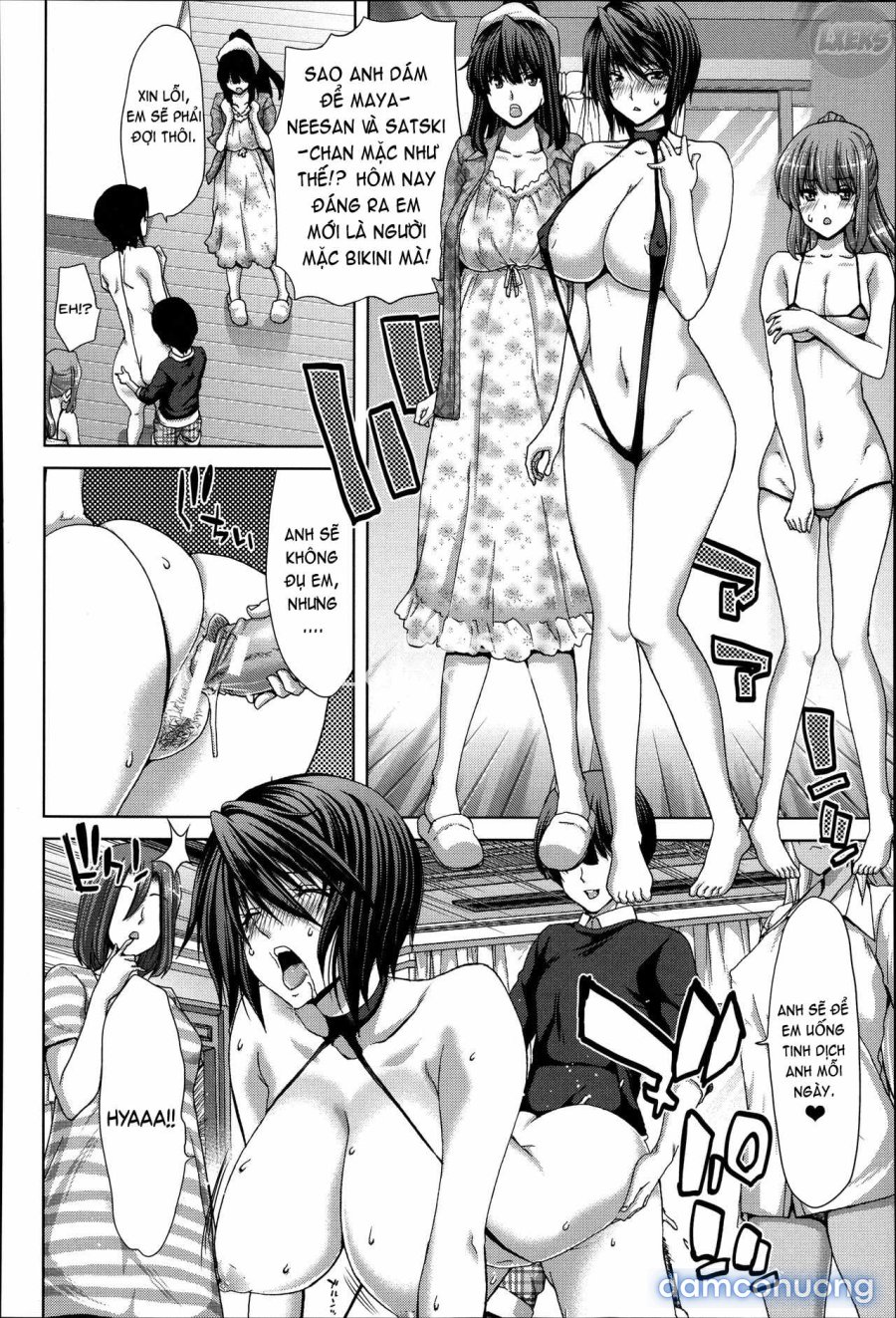 Mesuochi Z ~Kyousei Ninkatsu Haigou Zukan 