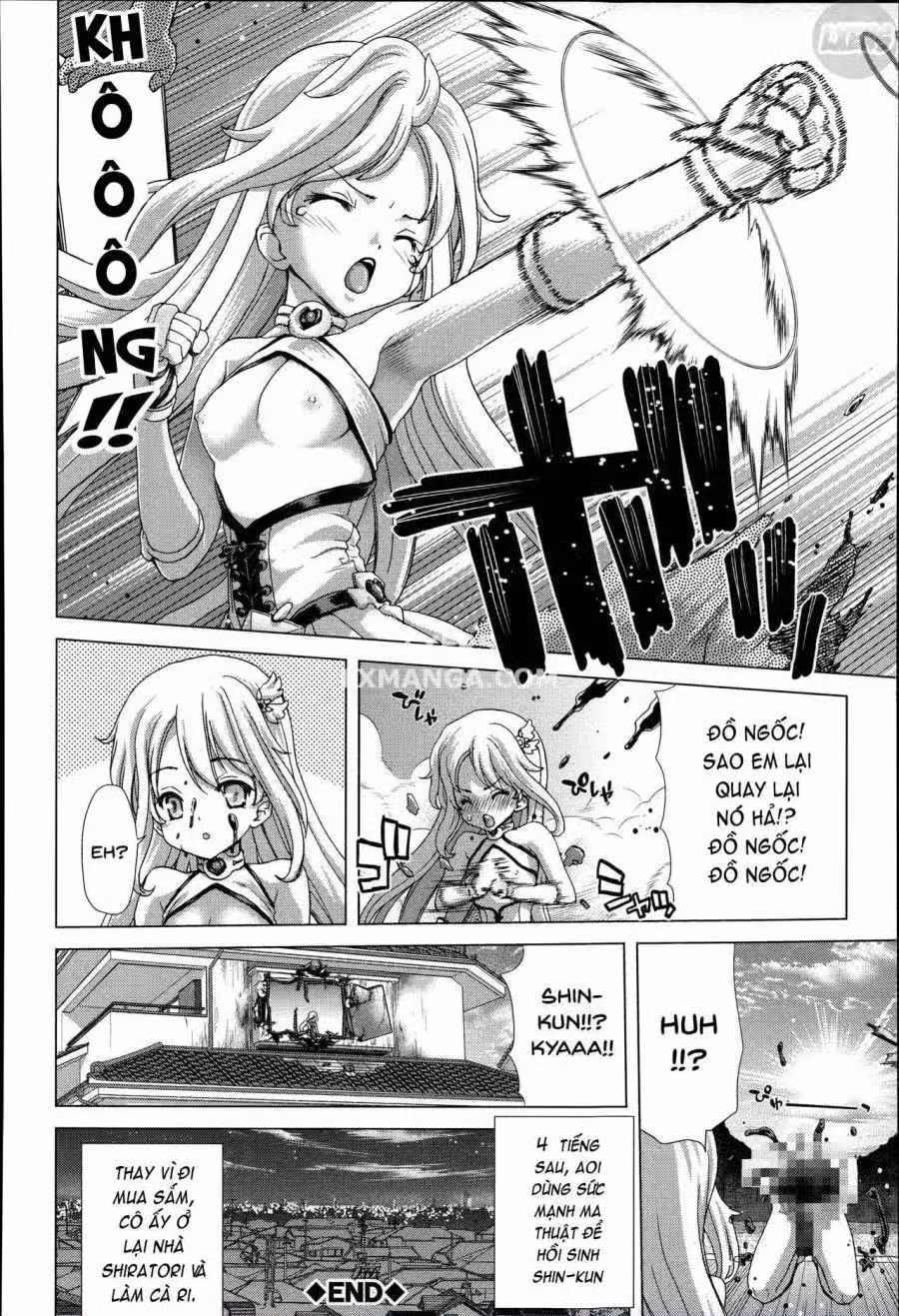 Mesuochi Z ~Kyousei Ninkatsu Haigou Zukan 