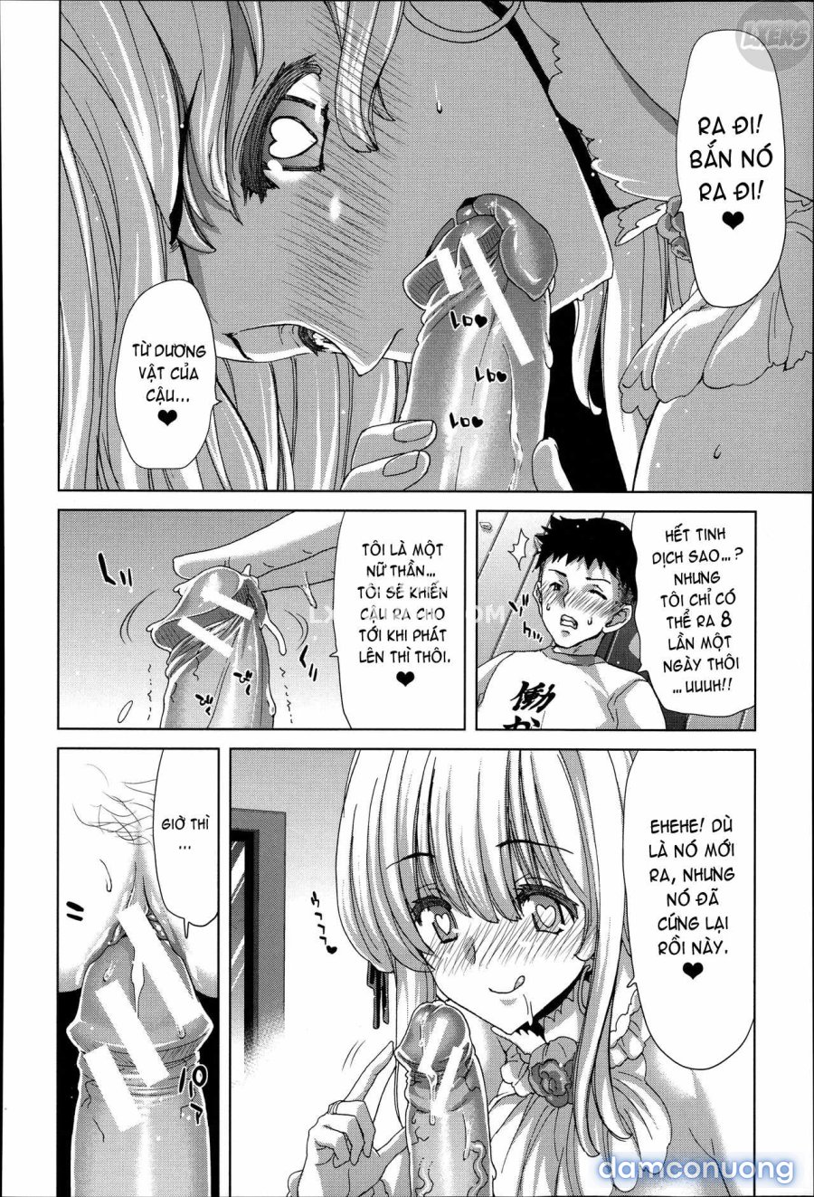 Mesuochi Z ~Kyousei Ninkatsu Haigou Zukan 