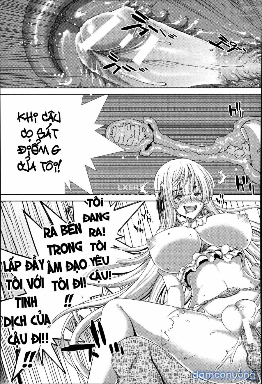 Mesuochi Z ~Kyousei Ninkatsu Haigou Zukan 