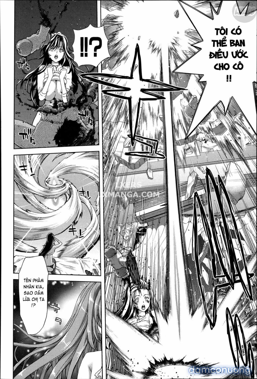 Mesuochi Z ~Kyousei Ninkatsu Haigou Zukan 