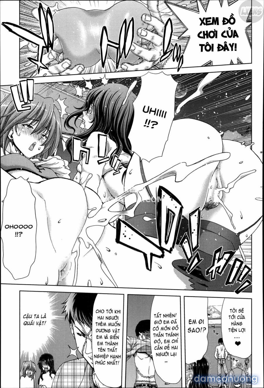 Mesuochi Z ~Kyousei Ninkatsu Haigou Zukan 