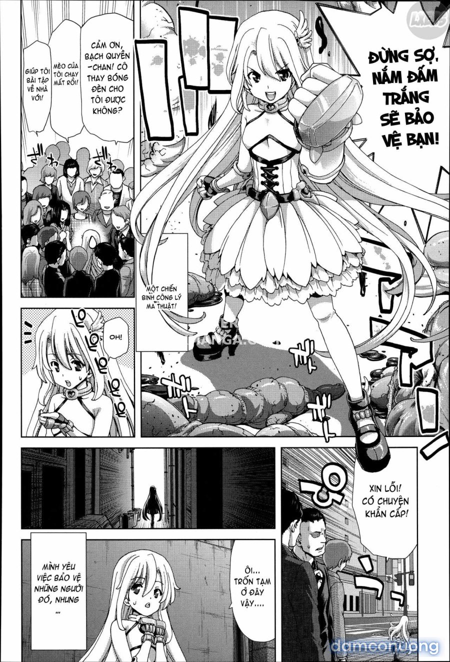 Mesuochi Z ~Kyousei Ninkatsu Haigou Zukan 