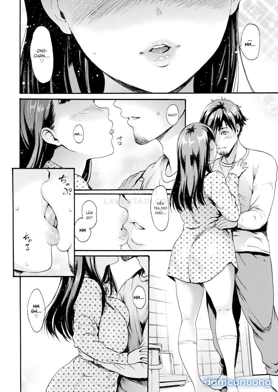 Shitakute Shitakute 