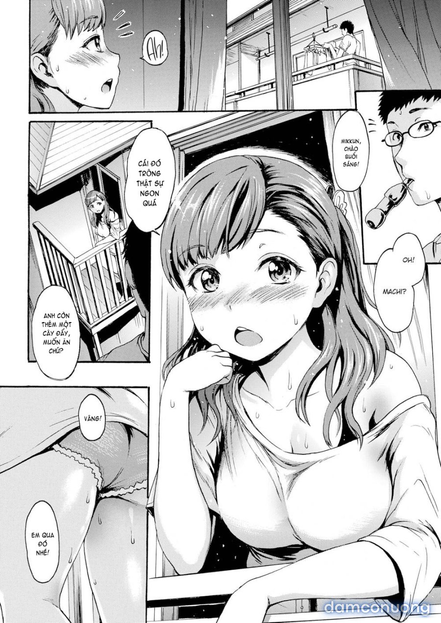 Shitakute Shitakute 