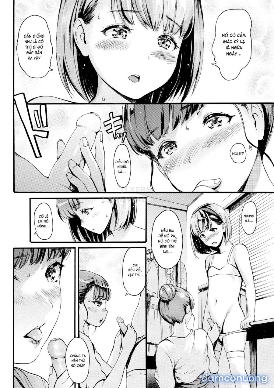 Shitakute Shitakute 