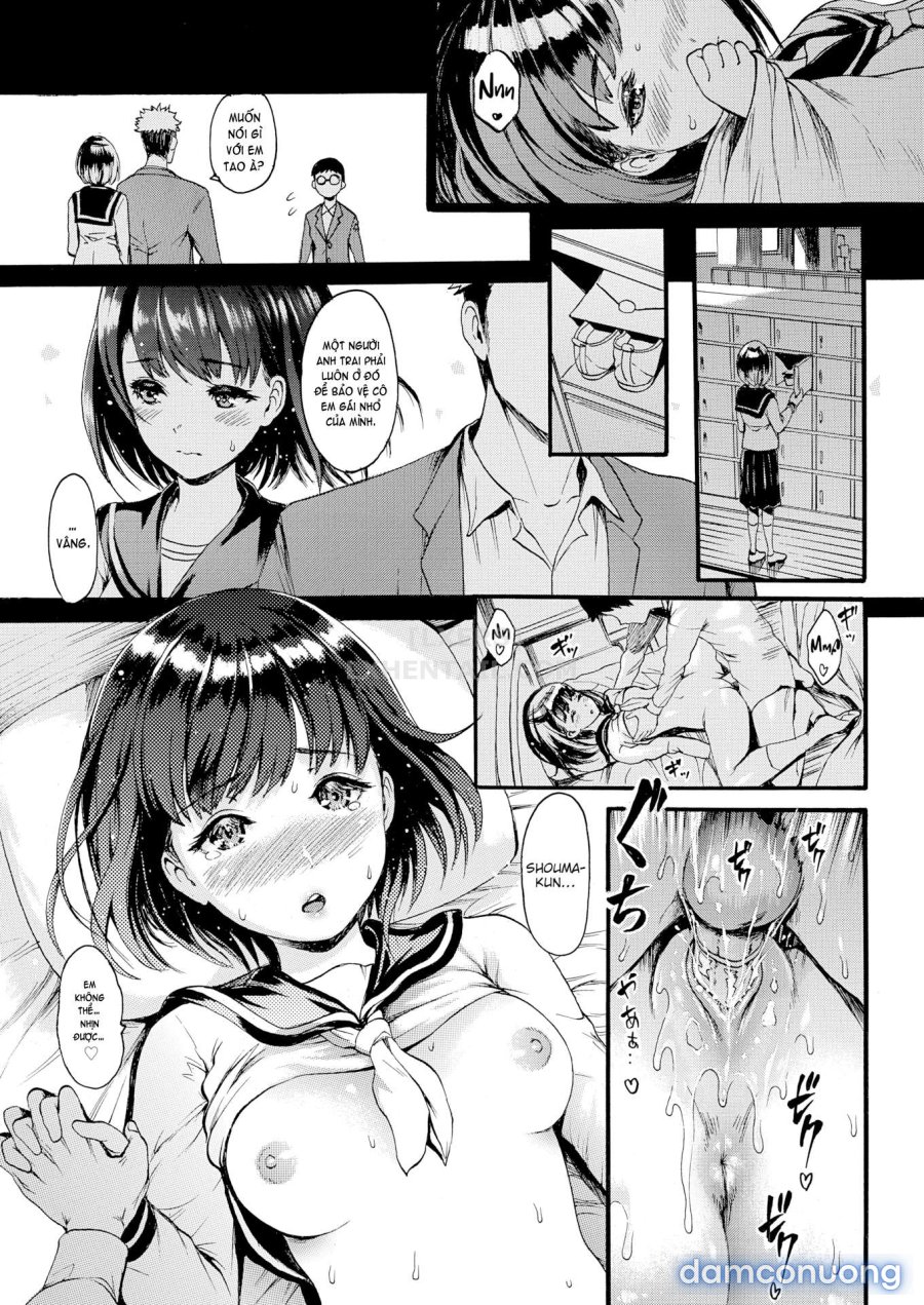 Shitakute Shitakute 