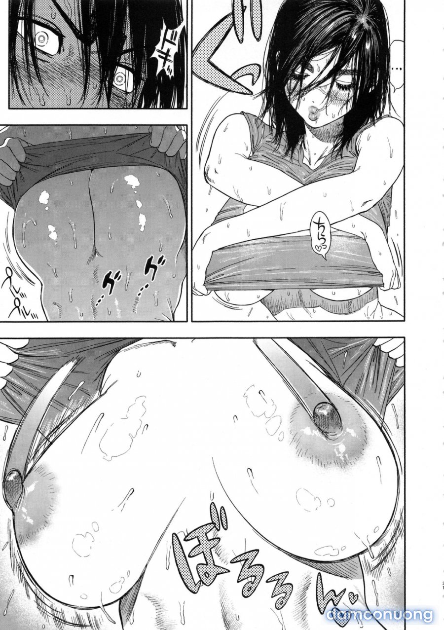Koisugi 